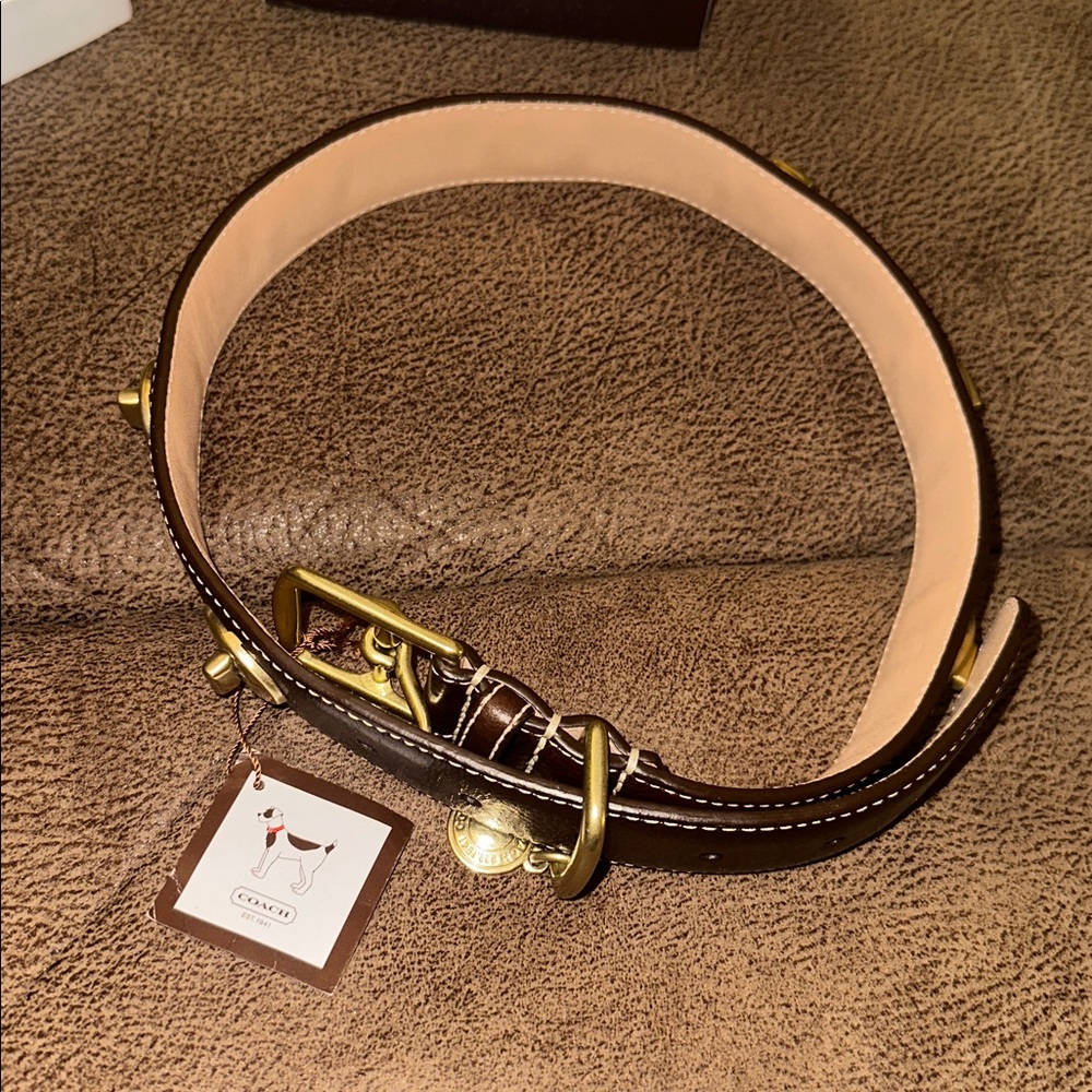 Coach Dark Brown Leather Dog Collar with Gold Hardware